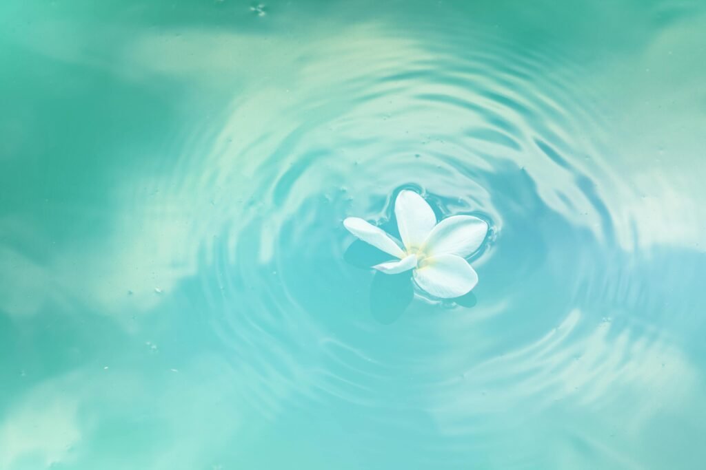 Fleur blanche dans l'eau