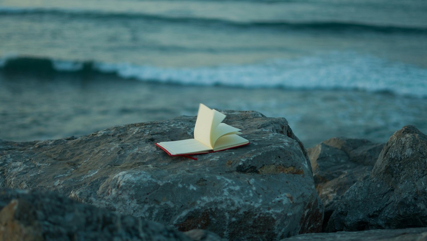 Journal sur rocher bord de mer