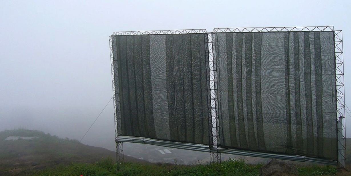 collecteur de brouillard