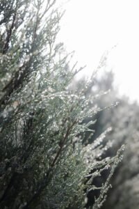 procédés récupération d'eau de l'air