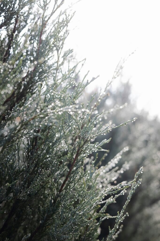 procédés récupération d'eau de l'air